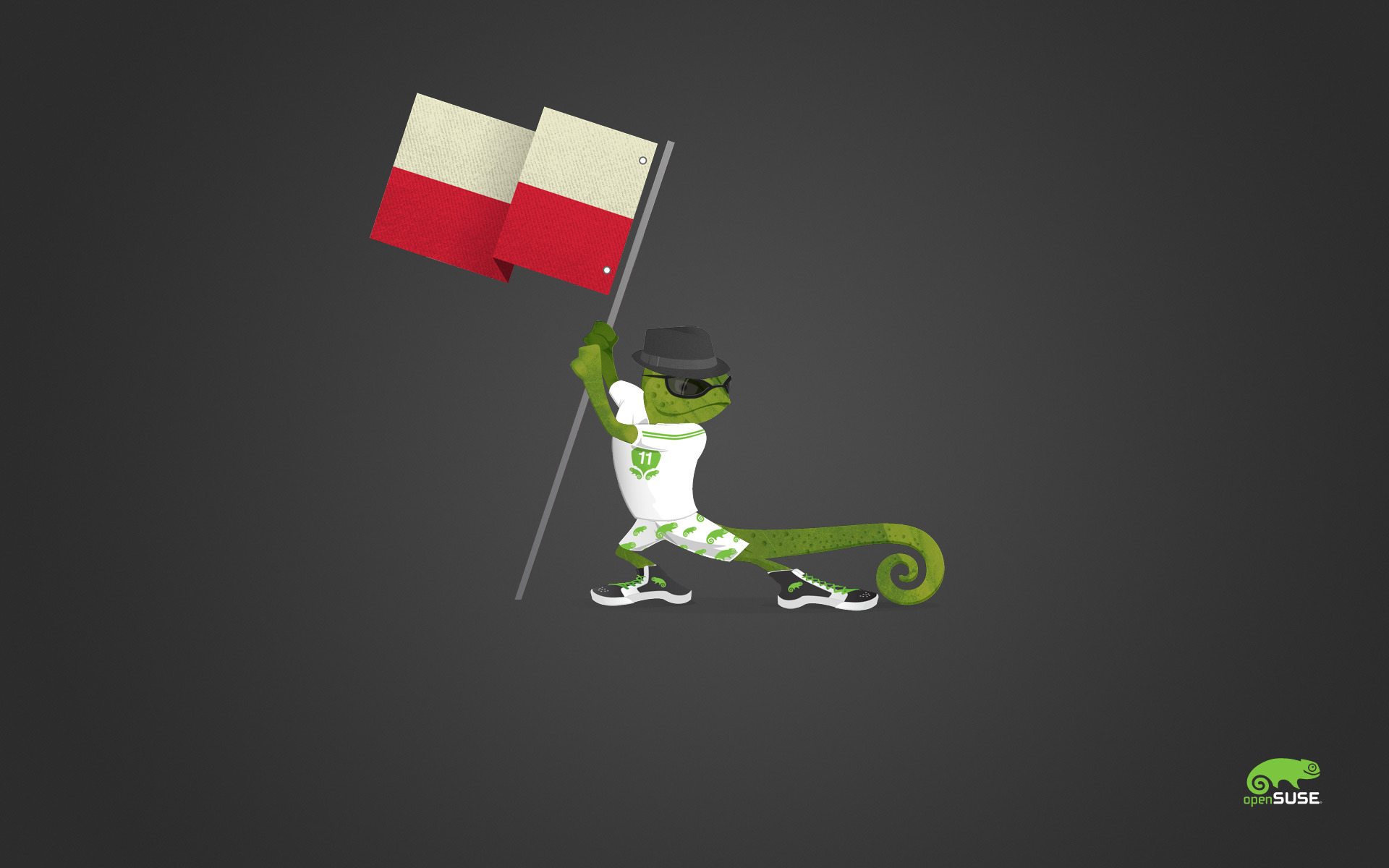 &ldquo;Polski Geeko&rdquo;